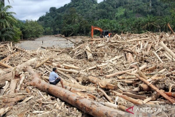 Indonesia menyelidiki kaitan pembalakan liar dalam puing-puing banjir di Sumatera