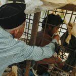 Seri UNSDG What If: "Bagaimana jika... pemasungan diakhiri di Indonesia?"