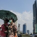 Suhu panas dapat mengancam ketahanan pangan dan pertanian: CIPS