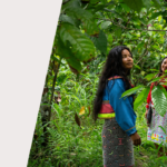 TUJUAN BULAN INI - Tujuan 13 Aksi Iklim