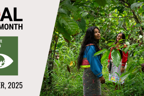 TUJUAN BULAN INI - Tujuan 13 Aksi Iklim