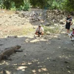Terkenal dengan komodo, Labuan Bajo naik daun sebagai destinasi wisata, namun wisata berlebihan tetap menjadi risiko