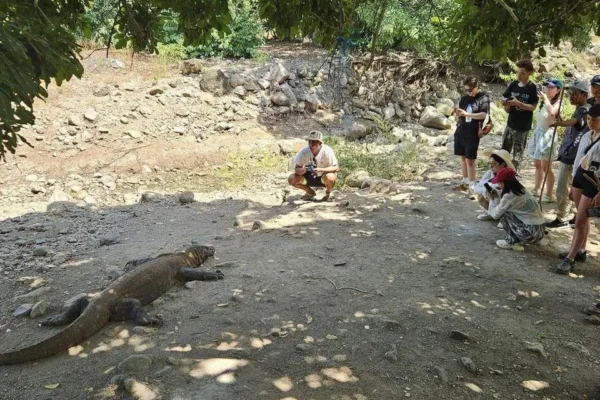 Terkenal dengan komodo, Labuan Bajo naik daun sebagai destinasi wisata, namun wisata berlebihan tetap menjadi risiko