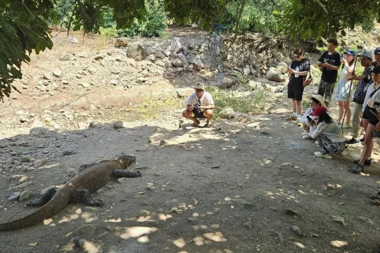 Terkenal dengan komodo, Labuan Bajo naik daun sebagai destinasi wisata, namun wisata berlebihan tetap menjadi risiko