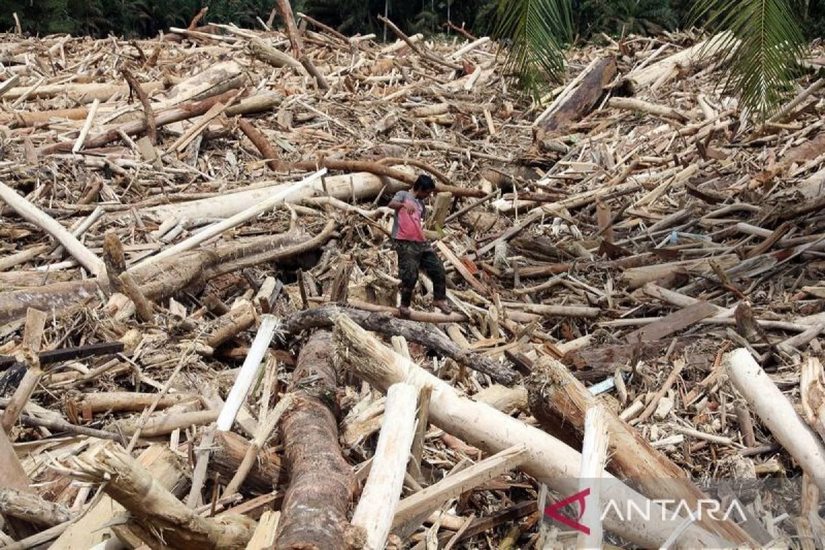 Indonesia akan menyelidiki peran penebangan hutan dalam banjir Sumatra yang mematikan