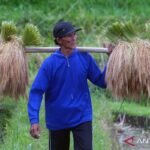 Indonesia melihat prospek ekonomi yang positif yang didorong oleh sektor-sektor utama