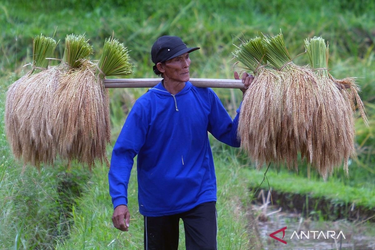 Indonesia melihat prospek ekonomi yang positif yang didorong oleh sektor-sektor utama