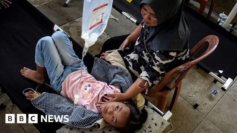 Keracunan makanan dan protes di Indonesia menguji tahun pertama masa jabatan Probowo