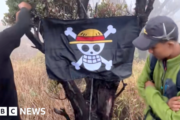 One Piece: Bagaimana tengkorak kartun menjadi simbol pembangkangan di Indonesia