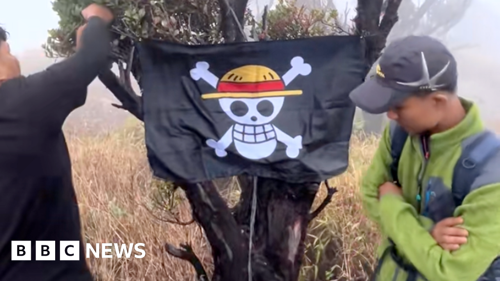 One Piece: Bagaimana tengkorak kartun menjadi simbol pembangkangan di Indonesia