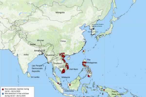 Pembaruan situasi ASF di Asia & Pasifik