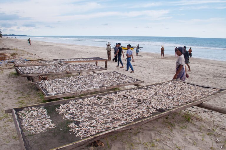 Apakah perubahan iklim mendorong nelayan Indonesia untuk melakukan kejahatan?