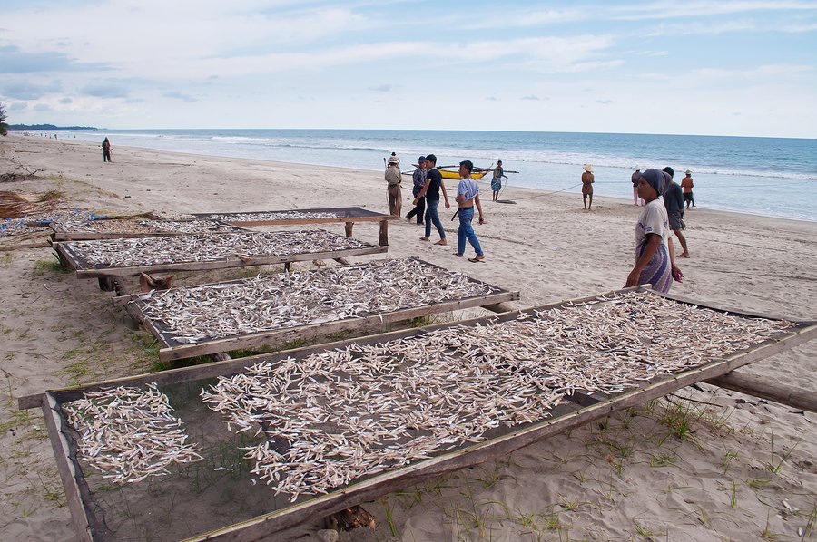 Apakah perubahan iklim mendorong nelayan Indonesia untuk melakukan kejahatan?