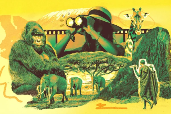 Bagaimana Gorila Menyembuhkan Hatinya yang Hancur di Hollywood