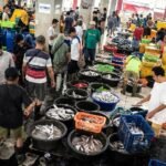 Indonesia Mengalami Kenaikan Harga yang Moderat untuk Ikan Budidaya