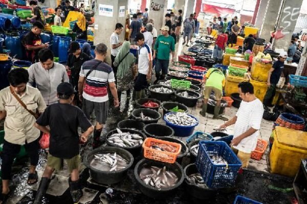 Indonesia Mengalami Kenaikan Harga yang Moderat untuk Ikan Budidaya