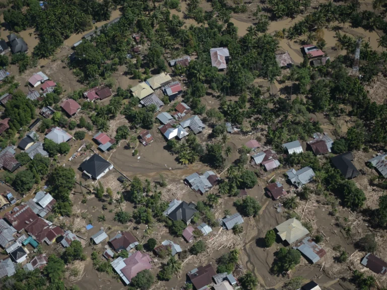 Indonesia menggugat enam perusahaan atas kerusakan lingkungan di daerah rawan banjir.
