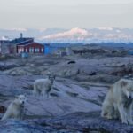 Apa arti perubahan iklim bagi gaya hidup tradisional suku Inuit di Greenland dan dunia