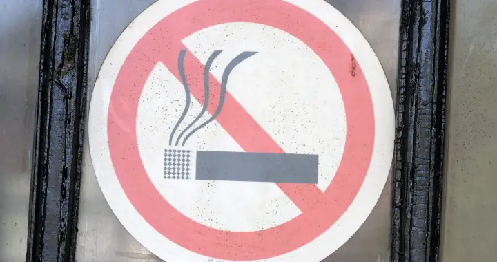 Faktor gaya hidup menjadi penyebab 4 dari 10 kasus kanker baru, menurut studi WHO - Nasional