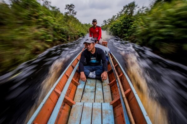 Lembaga pengawas Indonesia mendesak tindakan hukum terhadap kartel kejahatan lingkungan.