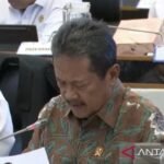 Indonesia mempercepat program penetapan harga karbon biru