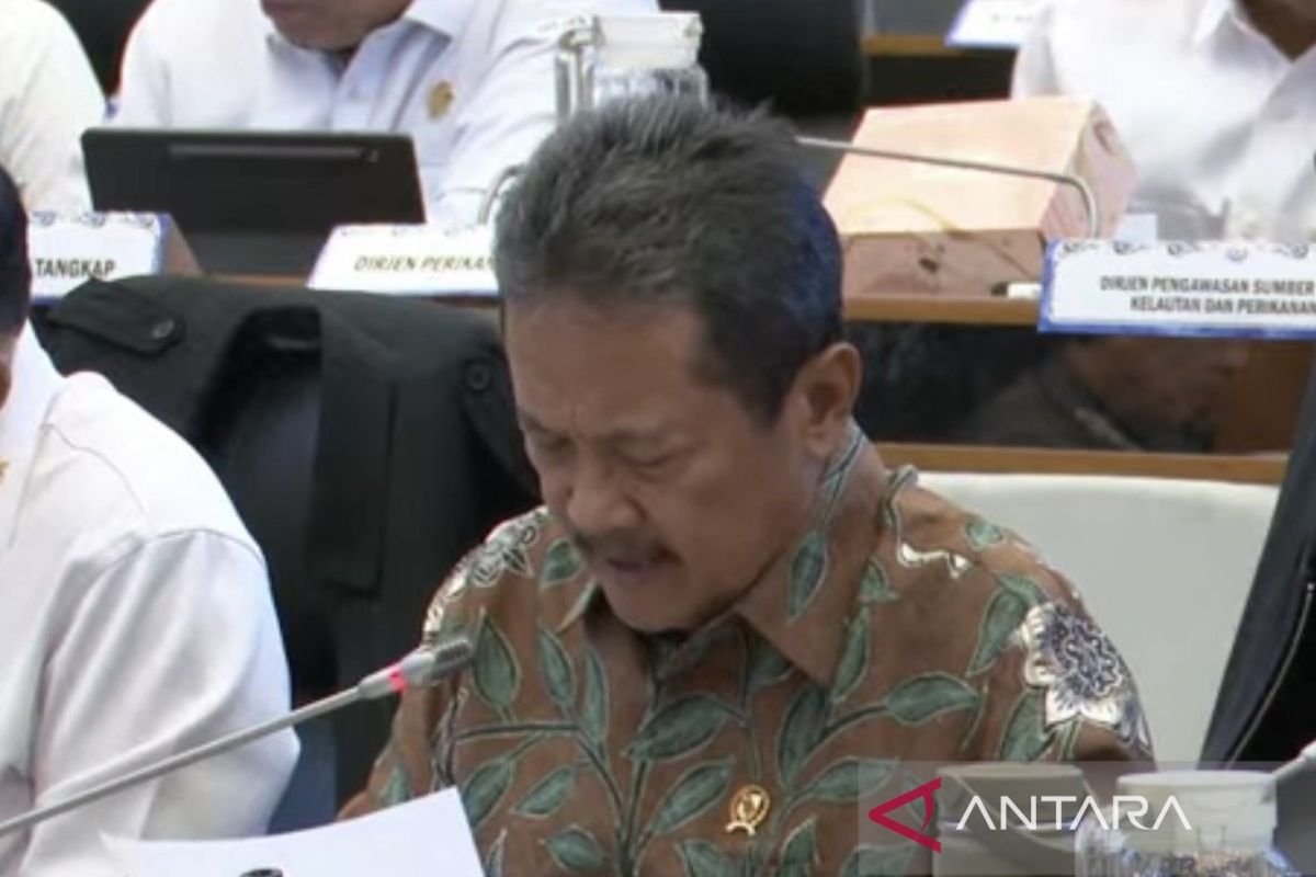 Indonesia mempercepat program penetapan harga karbon biru