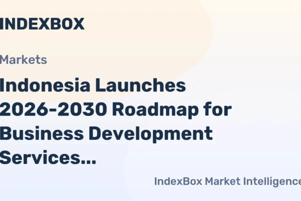 Peta Jalan Nasional untuk Layanan Pendukung UMKM Indonesia (2026–2030)